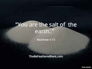 You are the salt of the earth Matthew 5:13
