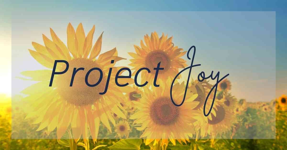 project joy in every day life