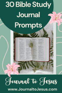 30 Bible Study Journal Prompts