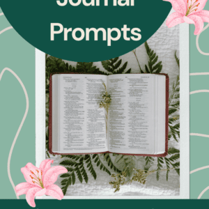 30 Bible Study Journal Prompts