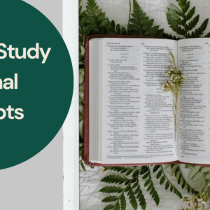 30 Bible Study journal prompts