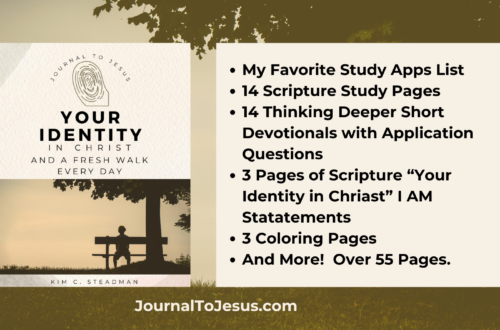 Your identity in Christ a Journal to Jesus to help you find freedom in who you are in Christ